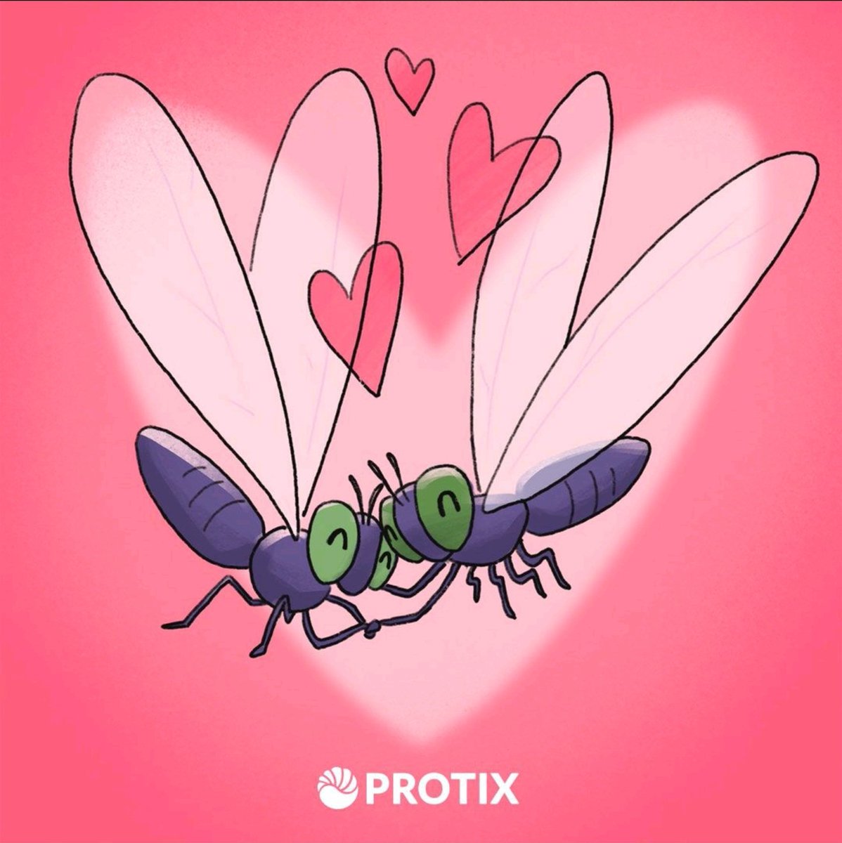 Make larvae not war. #HappyValentinesday. #teamwork #fun #insects #innovation