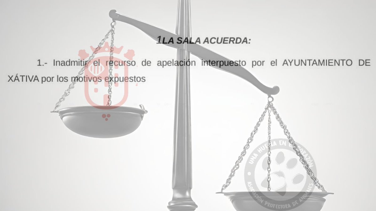 El TSJ ha inadmés el recurs del <a href="/xativa/">Ajuntament de Xàtiva</a> contra la Sentència que va declarar il•legal l'extinció del conveni per la gestió de les colònies felines.
Un recurs sense cap viabilitat que sols era una fugida cap endavant del <a href="/xativa/">Ajuntament de Xàtiva</a>.
#gatos #justicia #TSJ #coloniasfelinas #convenio