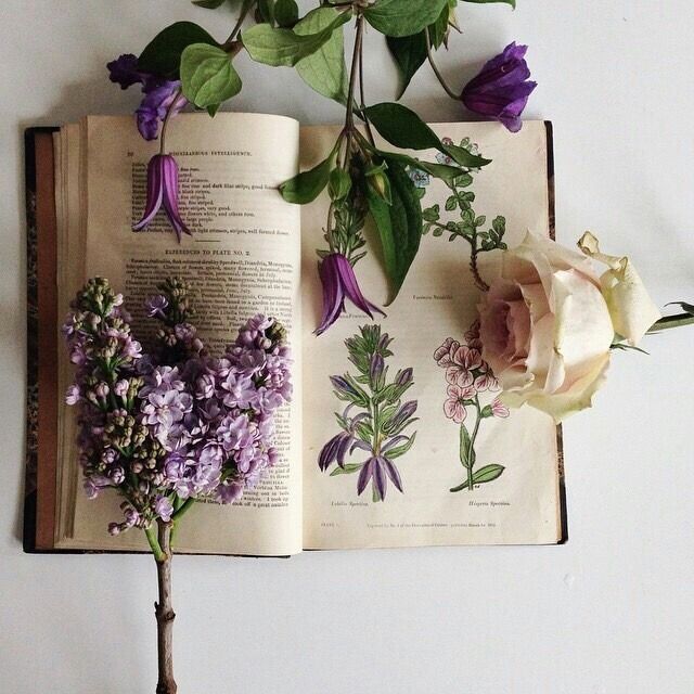 Celebremos nuestro ♡ AMOR ♡  por los libros.

#FelizSanValentín