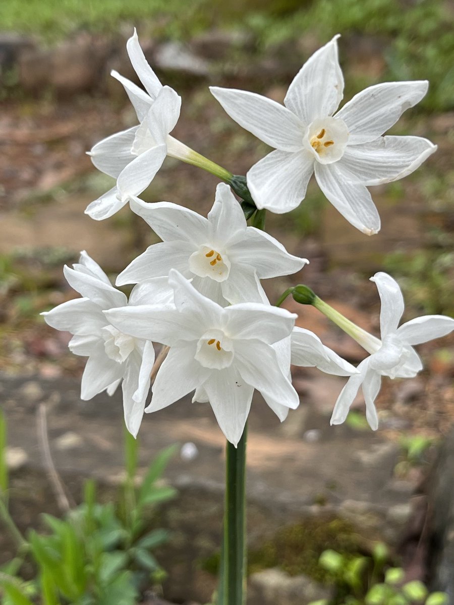 Happy Valentine’s Day to all who love to share their love on this new day!