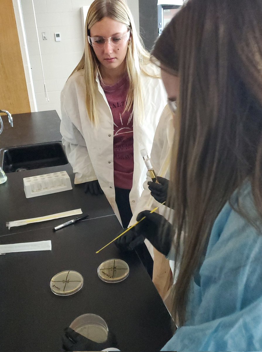 #PBS Students used the new lab today to plate bacteria. We will identify our unknown bacteria infecting our 3 patients! <a href="/VoelzJames/">New Palestine High School</a>  <a href="/NPHS_Science/">NPHS Science Team</a>