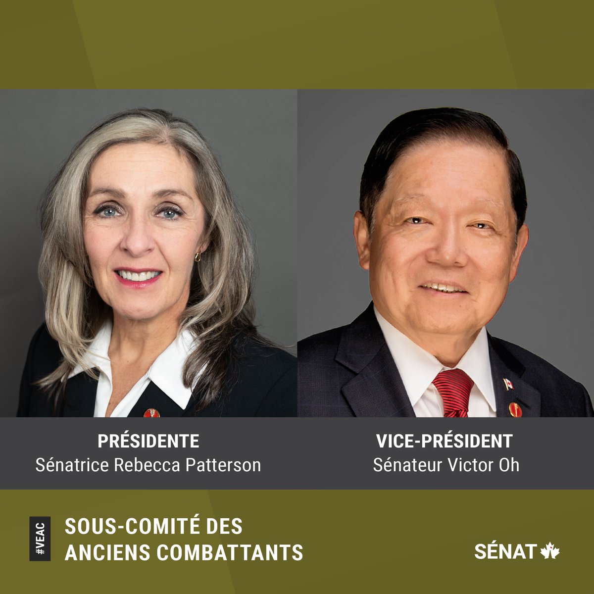 SenatCA's tweet photo. La présidente du Sous-comité des anciens combattants est la @SenRPatterson et le vice-président est le @SenatorVictorOh : https://t.co/bQcddq3fqf
#SenCA #VEAC #PolCan https://t.co/nk0jRWjrRN