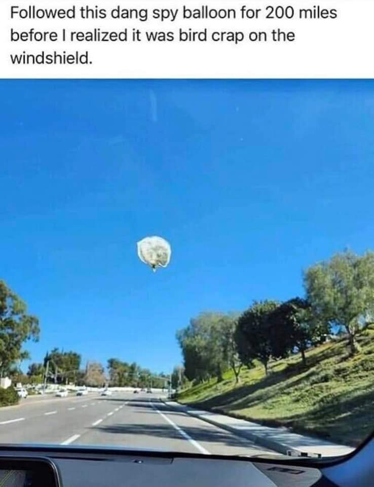 Blue Eyed Brat tweet media