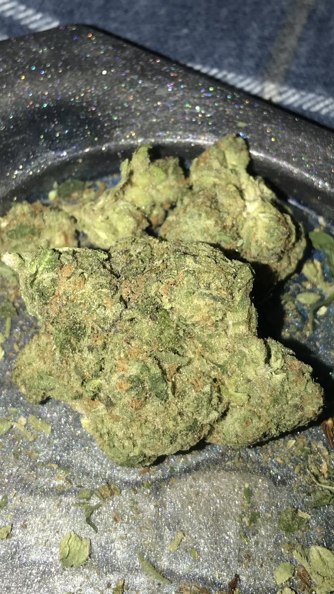 RjB3092's tweet photo. Smells delectable 🤓🍃🔥💨 #420community Cherry Gelato 🍒 💥 https://t.co/WUIHybBJtZ
