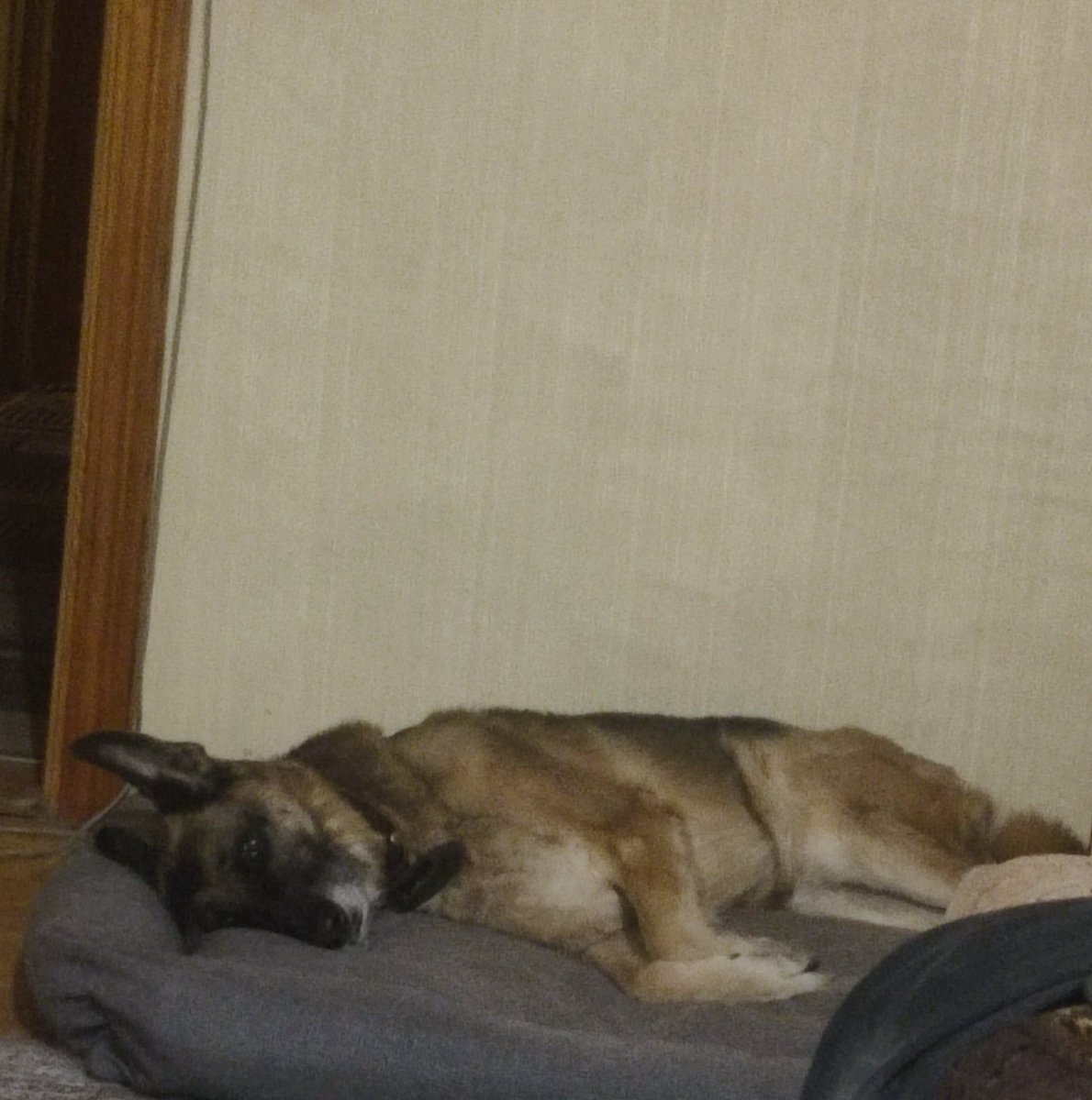 telemaque 🦭 (@evatartuffe) on Twitter photo 