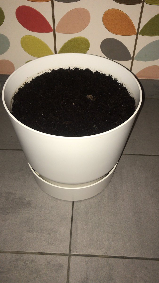 De hint werd niet begrepen.