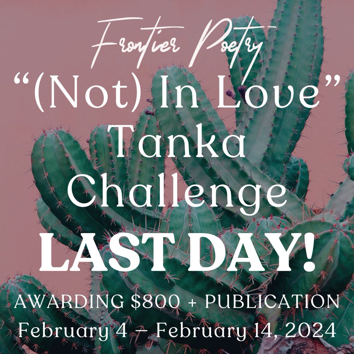 Final day to send us your tankas! What do you do when you are (not) in love? Send us your poems in the form of a tanka. The first-place winner will receive $500 + publication. Deadline: February 14, 2024, 11:59 PM Pacific Learn more: frontierpoetry.com/poetry-awards/