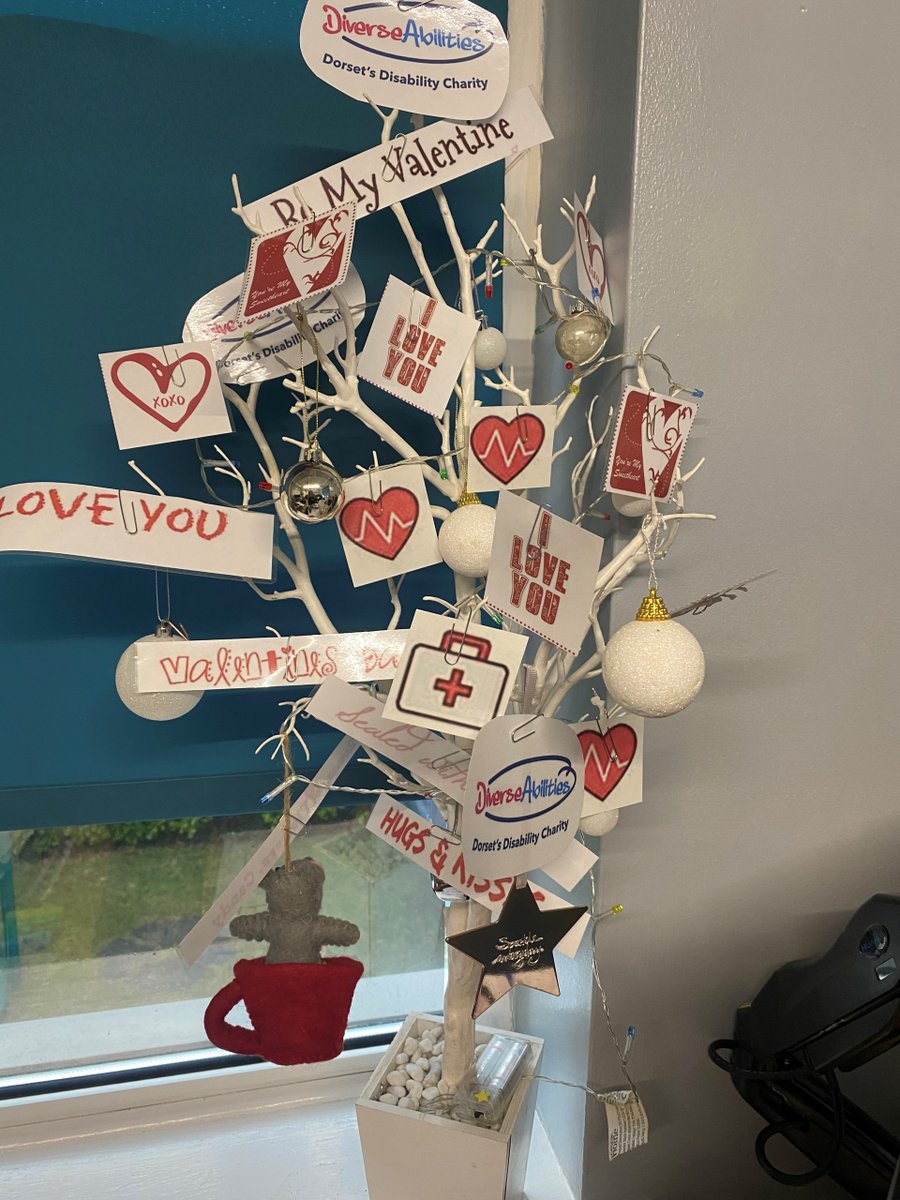 Decorated trees aren't just for Christmas. Check out the Valentine's Day Tree at Lily's Place, our respite home for children and young people. #LilysPlace