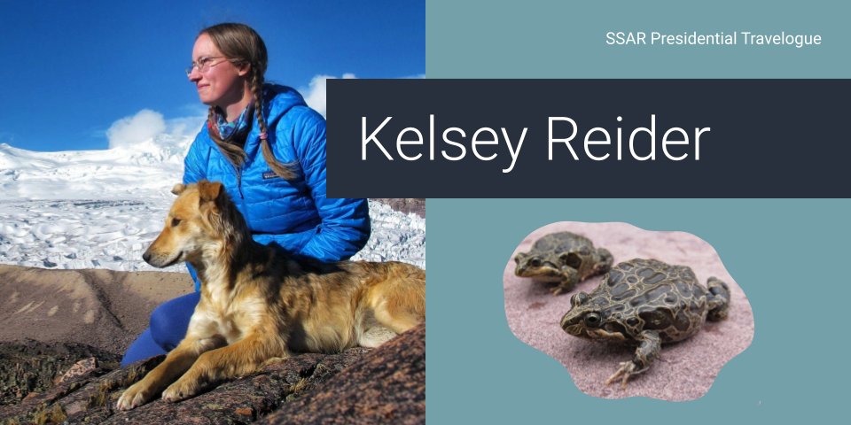 SPEAKER ANNOUNCEMENT Dr. Kelsey Reider will be giving the @SSAR #PresidentialTravelogue at #SSAR2024! We are so excited to hear from @proranas, from @JMU, about Glacial flow and other stories. kelseyreider.weebly.com sites.lsa.umich.edu/ummz-ssar2024/…