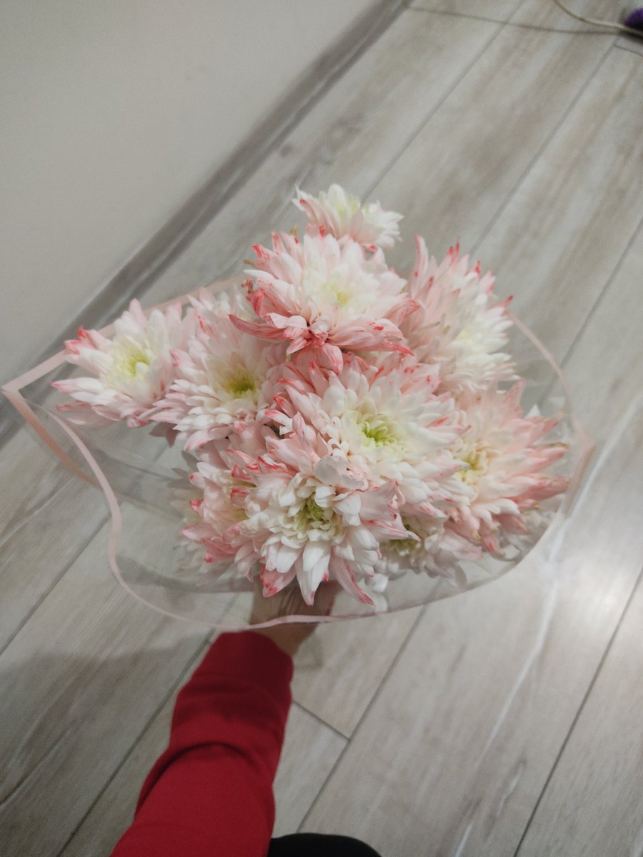 biadetmerve's tweet photo. 🌼 https://t.co/uOiq1irCai