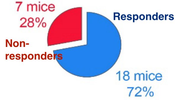 Sophie Rogers tweet media