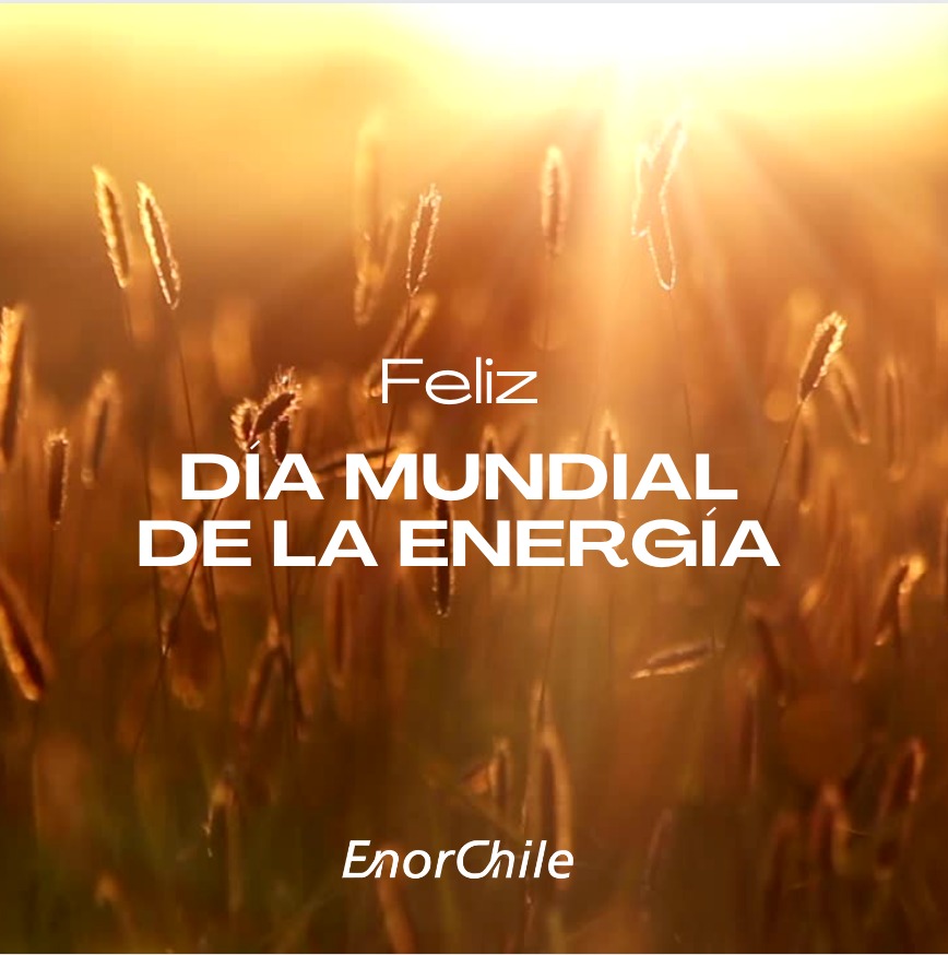 Enorchile S.A. tweet media