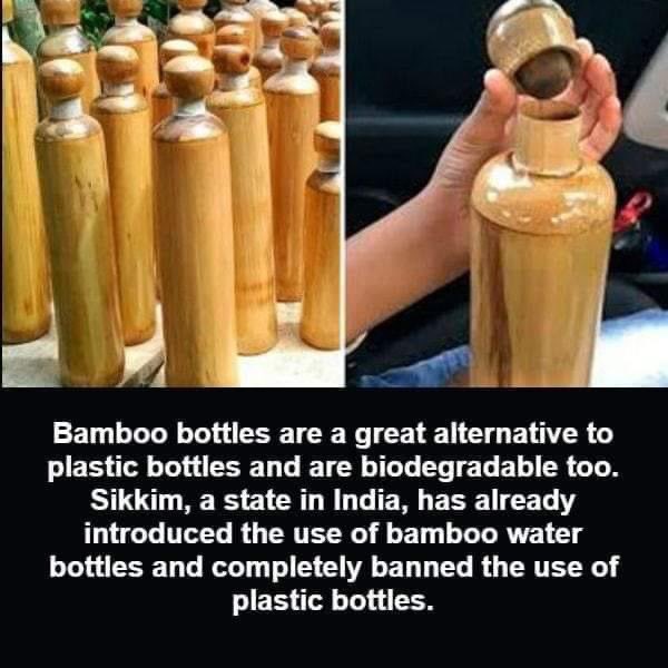 EarthDemeter's tweet photo. Sikkim knows whatโs up! ๐๐ฎ๐ณ
#Bamboo #EcoFriendly #GreenLiving #FeedTheSoilHarvestTheFuture #DemeterEarth https://t.co/rRHE92REli