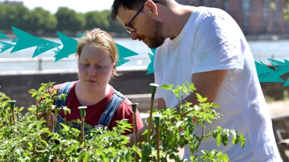 Want to learn how to create more sustainable world? Then join our Connecting with Charities webinar. Hear from sustainable grassroots organisations to discover their work in fashion, education and tech. 🗓️: Thursday 29 Feb 🕑: 13.00-14.00 Register: kcl.ac.uk/events/connect…