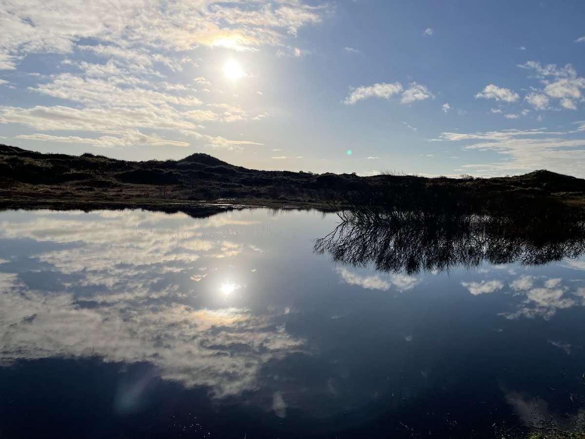 pienankerman's tweet photo. @FroukjeKrist Duinen Terschelling eind november. Plaatje en enorm cadeau zoals alles daar ❤️ https://t.co/5ZtNtzPWR0