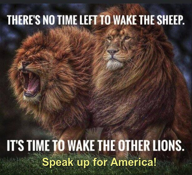 Speak Up For America! 🇺🇸 tweet media