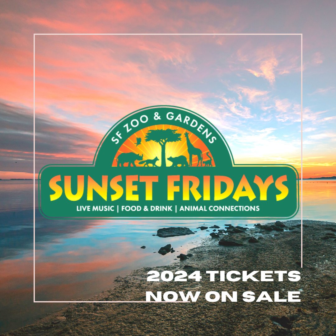 Big news! 😱 Sunset Fridays is back for 2024! Join us for an unforgettable experience featuring live music, conservation talks, shopping from local vendors, and delicious food and drinks, all happening after the Zoo closes! 🐾🍻 #SFZoo