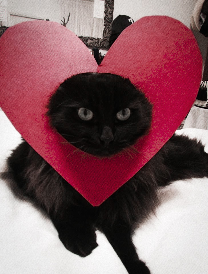 ᅠᅠ
                  
ᅠᅠ
                  
ᅠᅠ

                  𝕳𝐀𝐏𝐏𝐘 𝖁𝐀𝐋𝐄𝐍𝐓𝐈𝐍𝐄𝐒 𝕯𝐀𝐘
                  ──ℒ𝑖𝑎  and  ℬ𝑒𝑐𝑘𝑒𝑟  edition.
                                         ❪ 🫀 ❫

ᅠᅠ