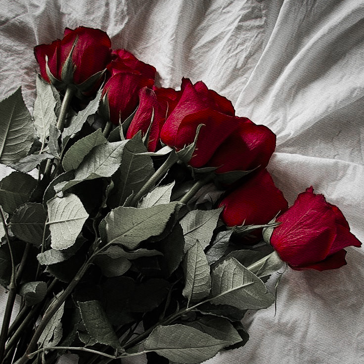 gracias por ser tan buena compañía y dejarme molestarlos de vez en cuando.

P.D. Recapacité y no envenené nada, pueden comer tranquilos ¿O no? ”