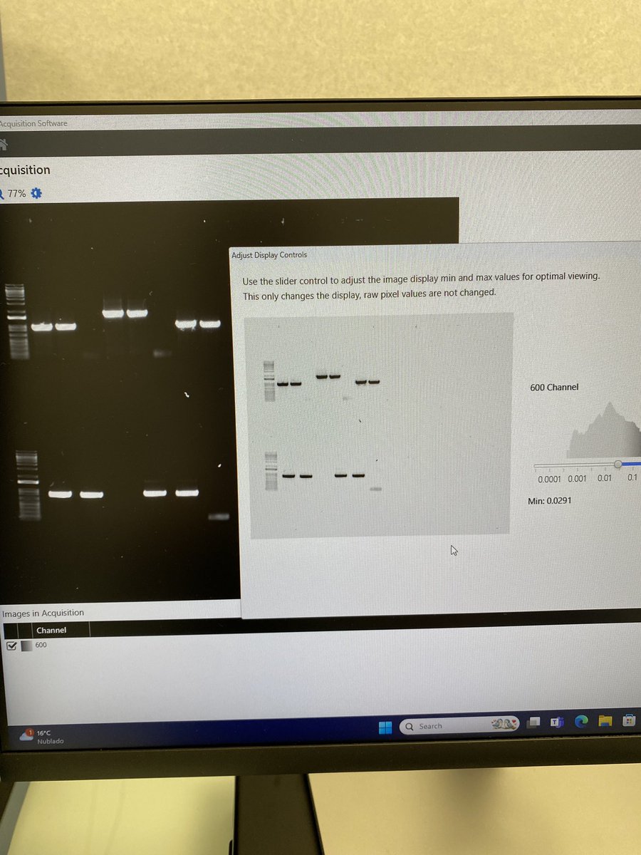 Nuria Quiles tweet media