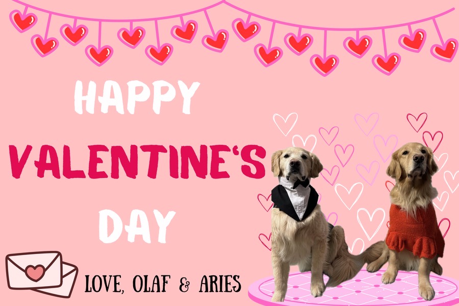 During Mallory's time at the Aflac Cancer and Blood Disorders Center, Aries has been there to support her and her family through their care journey. When Mallory wanted to make a Valentine’s Day card for her friends, Aries and Olaf made her dream come to life.