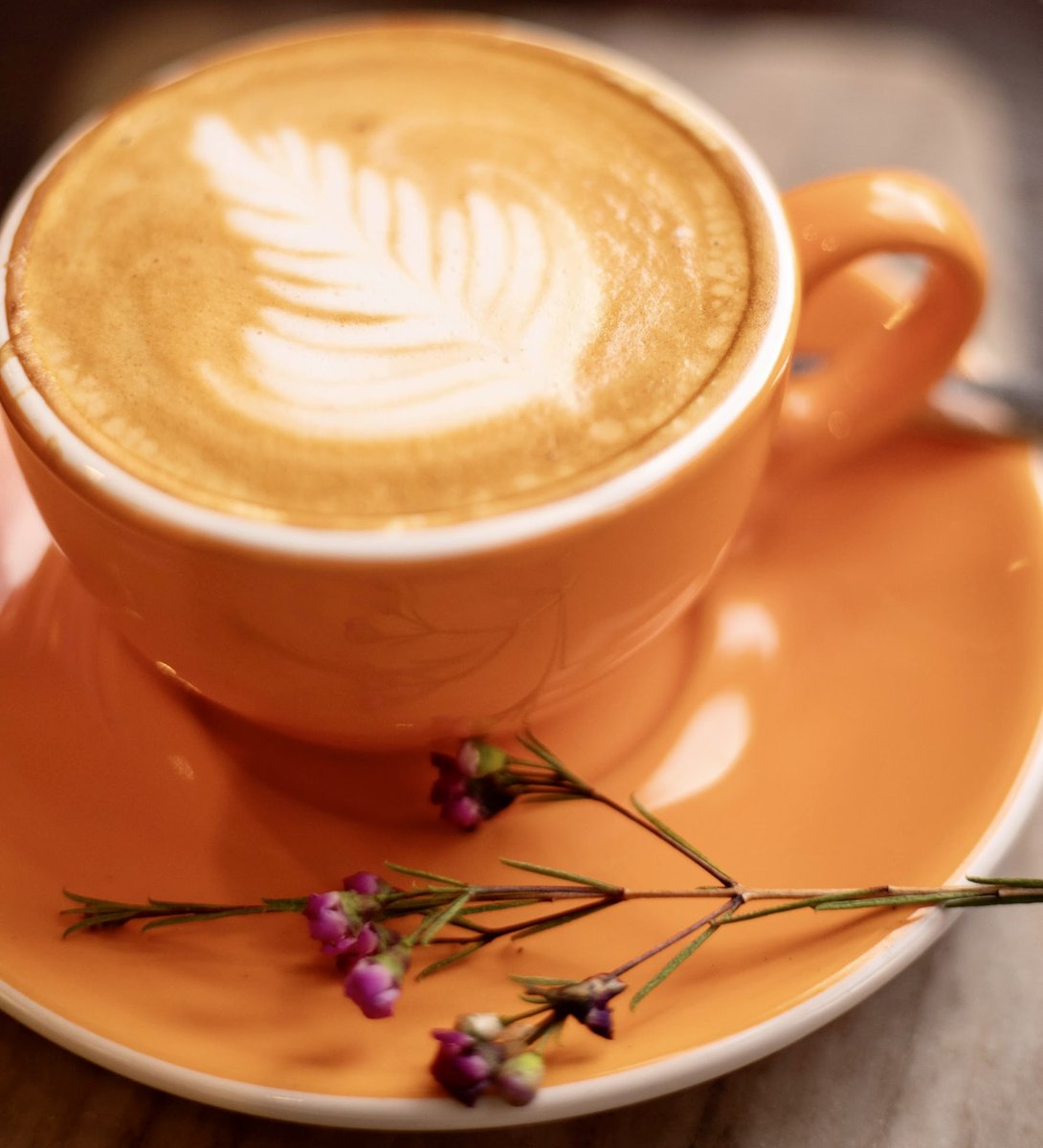 TortoniCaffe's tweet photo. 💐 #happyvalentinesday 

#shermanoaks #encino #studiocity #thevalley #tulucalake #vannuys #csun #wednesday #wednesdaywisdom https://t.co/XwXeD77P5O