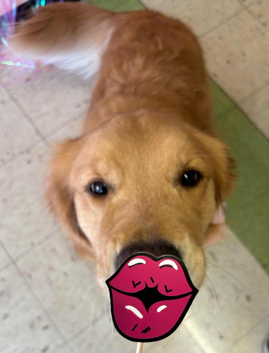 Facility_Fawn's tweet photo. Happy Valentine's Day! Fawn is giving out free kisses 💘 https://t.co/iWX0BLYoBe
