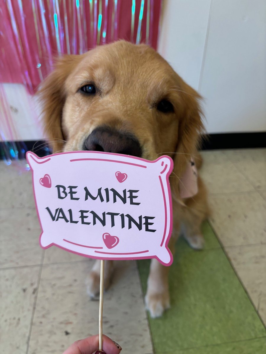 Facility_Fawn's tweet photo. Happy Valentine's Day! Fawn is giving out free kisses 💘 https://t.co/iWX0BLYoBe