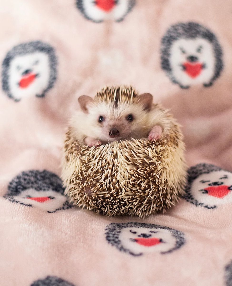 Wednesday 14th February, 2024