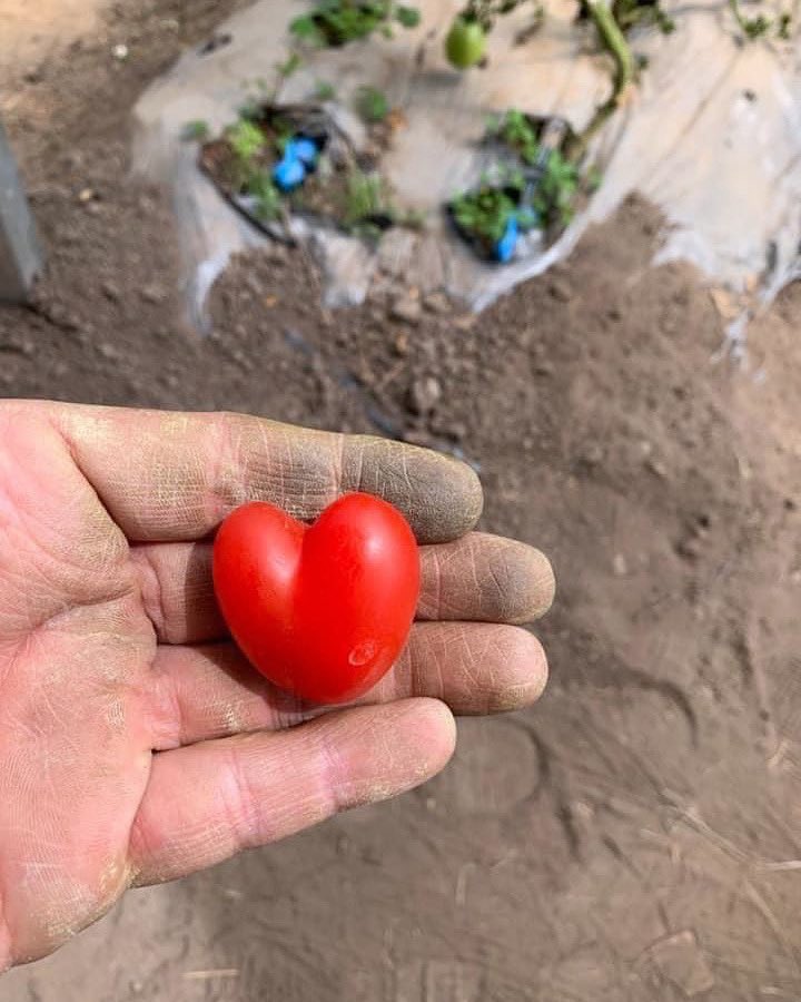 IsraelGarzonPue's tweet photo. Que este día, sea el pretexto perfecto para decir te quiero y abrazar mucho (además es gratis) háganlo!!Feliz día del amor y la amistad!! Vamos con todo!! https://t.co/rnp3tNa28y