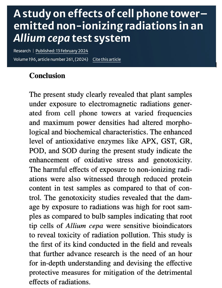MicrowaveNews's tweet photo. New from @gndu_amritsar India 🇮🇳:
Onion roots exposed to ~1-13 µW/cm² #RF from cell towers showed “enhancement of oxidative stress and genotoxicity.” Higher the exposure, greater the effect.
Levels are orders of magnitude lower than most exposure limits.
https://t.co/o7p9INDEAi https://t.co/LHoX8PyAcE