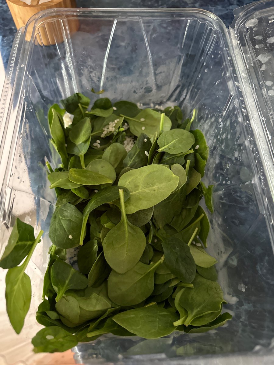 Life hack that really works: put rice in your pre-washed salad greens. This Costco spinach is 2 weeks old and going strong