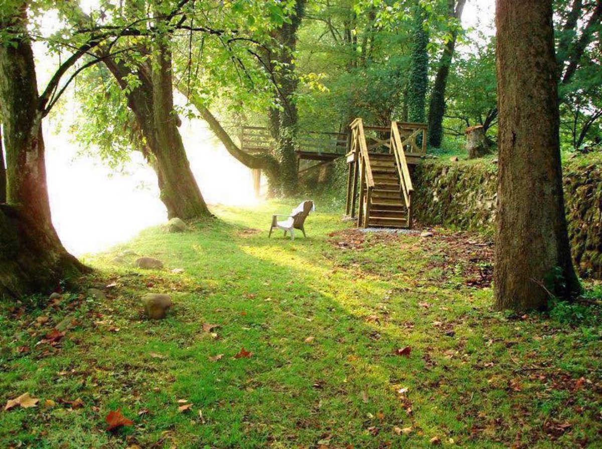 Spring is coming! 🌳🛶🎣 Get a jump on your next getaway while there’s plenty of dates available. ➡️ evolve.com/vacation-renta…

#vacationrental #vrbo #riverhouse #tennessee #elizabethton #supportlocal #smokymountains #river #flyfishing #wataugariver #vacation