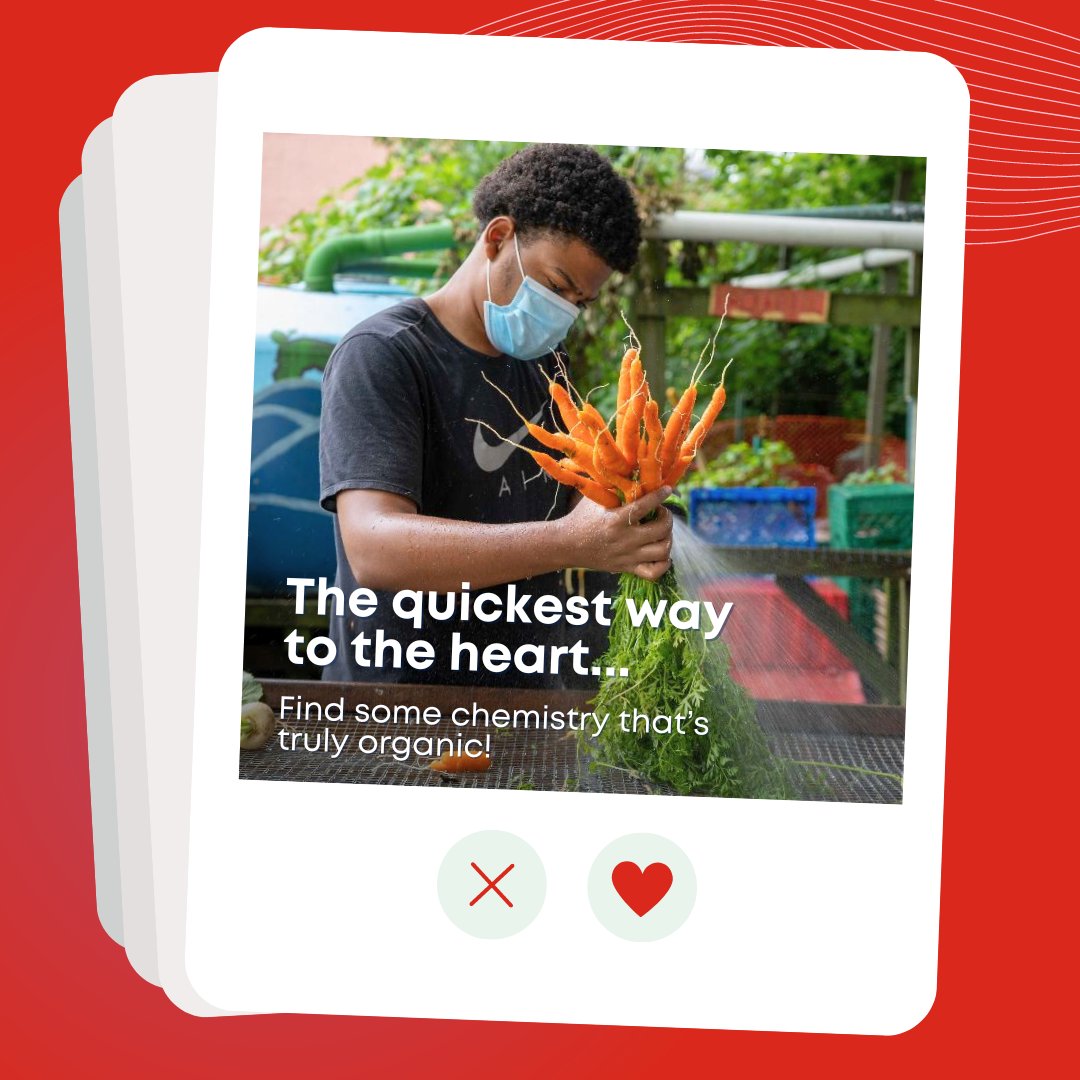 This Valentine's Day, match with us ❤️ Swipe for our most eligible projects ➡️