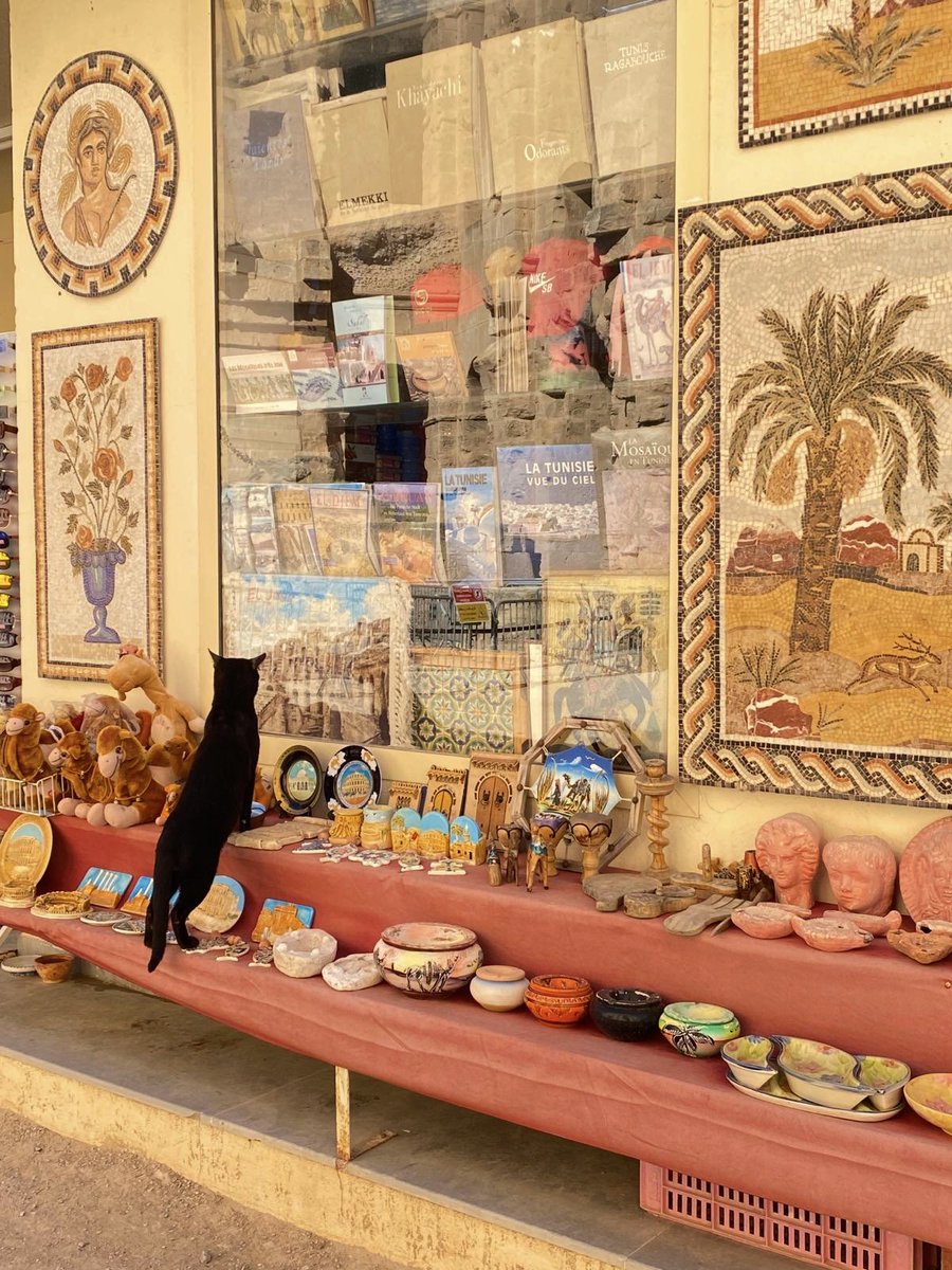 nx4llll's tweet photo. tunisia has my heart https://t.co/PsgraLZhND