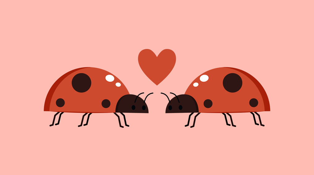 HughesExt's tweet photo. Happy #ValentinesDay from the Hughes team! Nothing says "I love you" like a home free of unwanted guests. 💘 https://t.co/L8L4XDmAWA