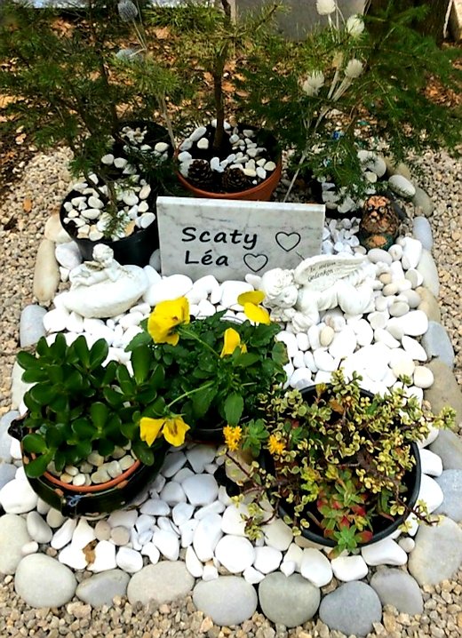 MonikaFrance's tweet photo. Grosses pensées pour #Scaty et #Léa , inoubliées .❤❤❤
Elles me manquent.
#SaintValentin #ValentinesDay https://t.co/wL4rHa6mzO