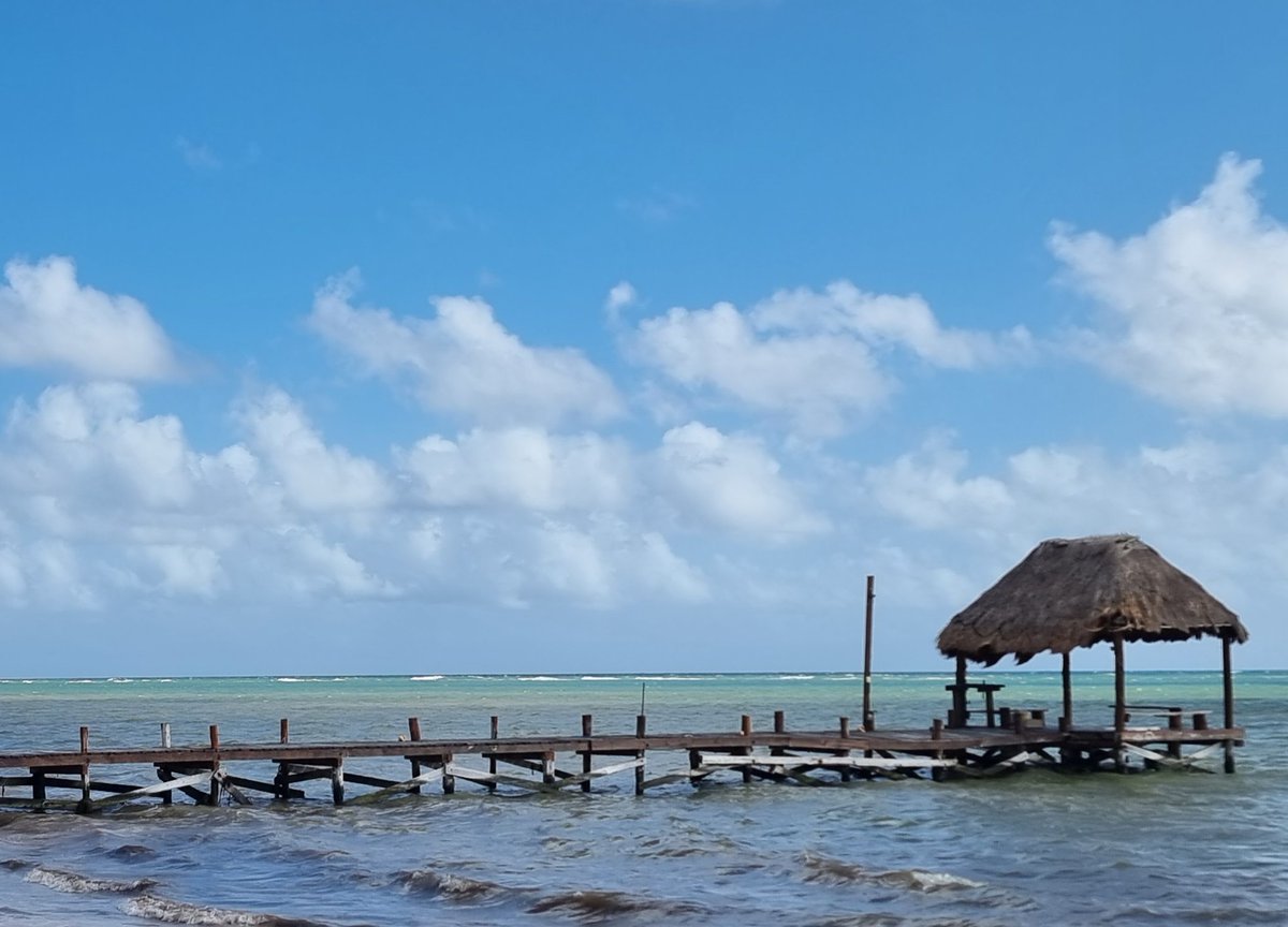 Day 6 of my Carnival Celebration cruise brought me to Costa Maya for a day of chilling at Maya Chan. Bliss! 

⚓️
⚓️
⚓️
⚓️

#CCL #CarnivalCruiseLine #CarnivalCelebration #FunShip #Cruise #CruiseLife #CruiseAddict #Mexico #CostaMaya #MayaChan #Addicted2Ships