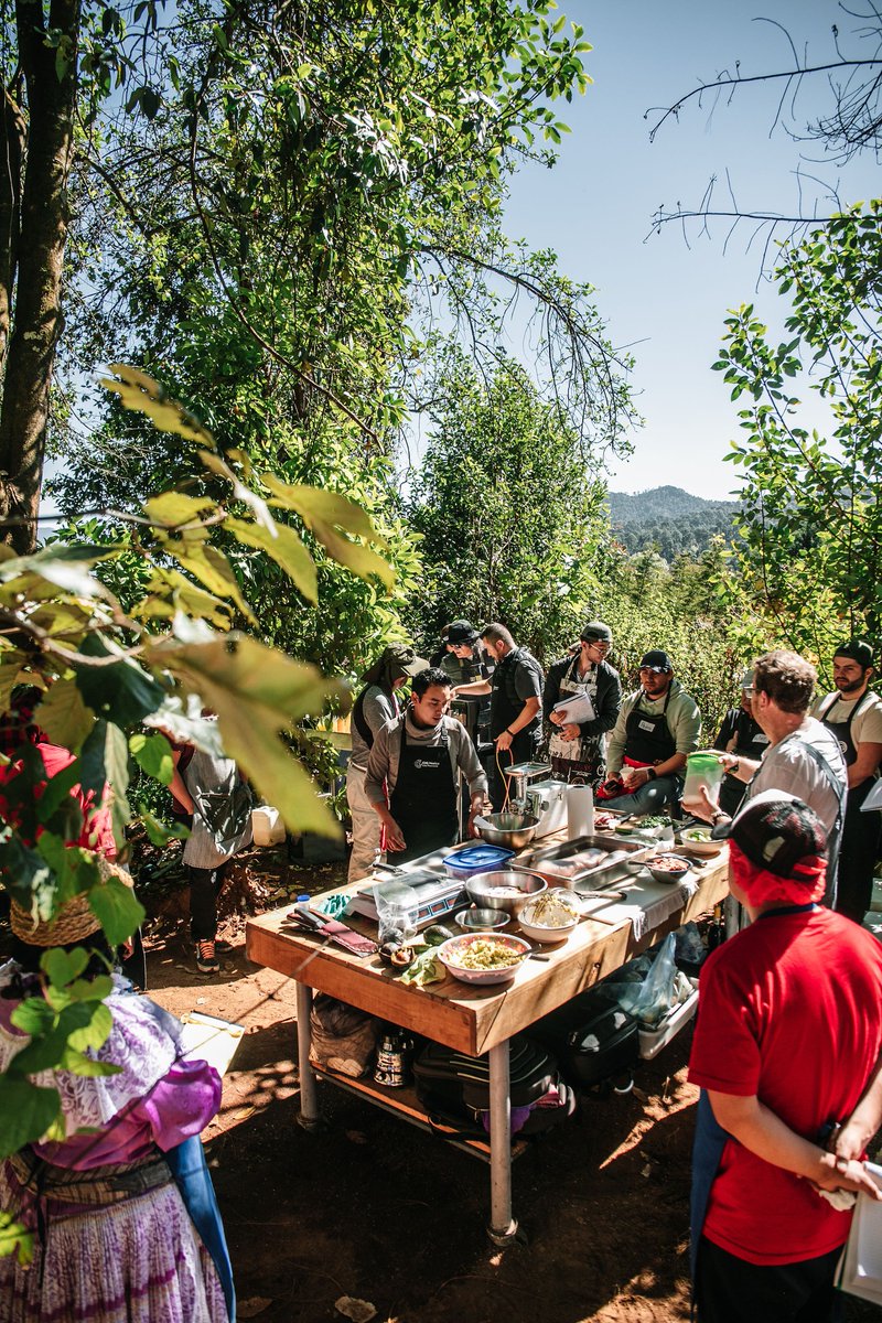 Lalo Plascencia tweet media