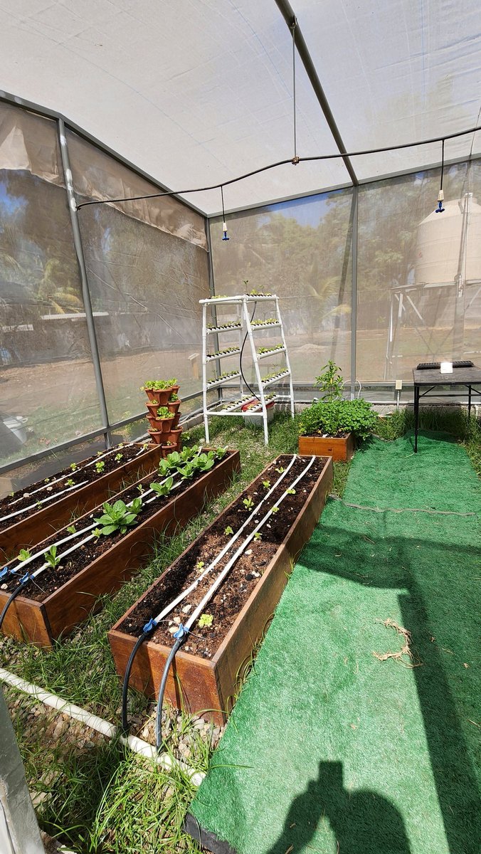 Pablo Bartol tweet media