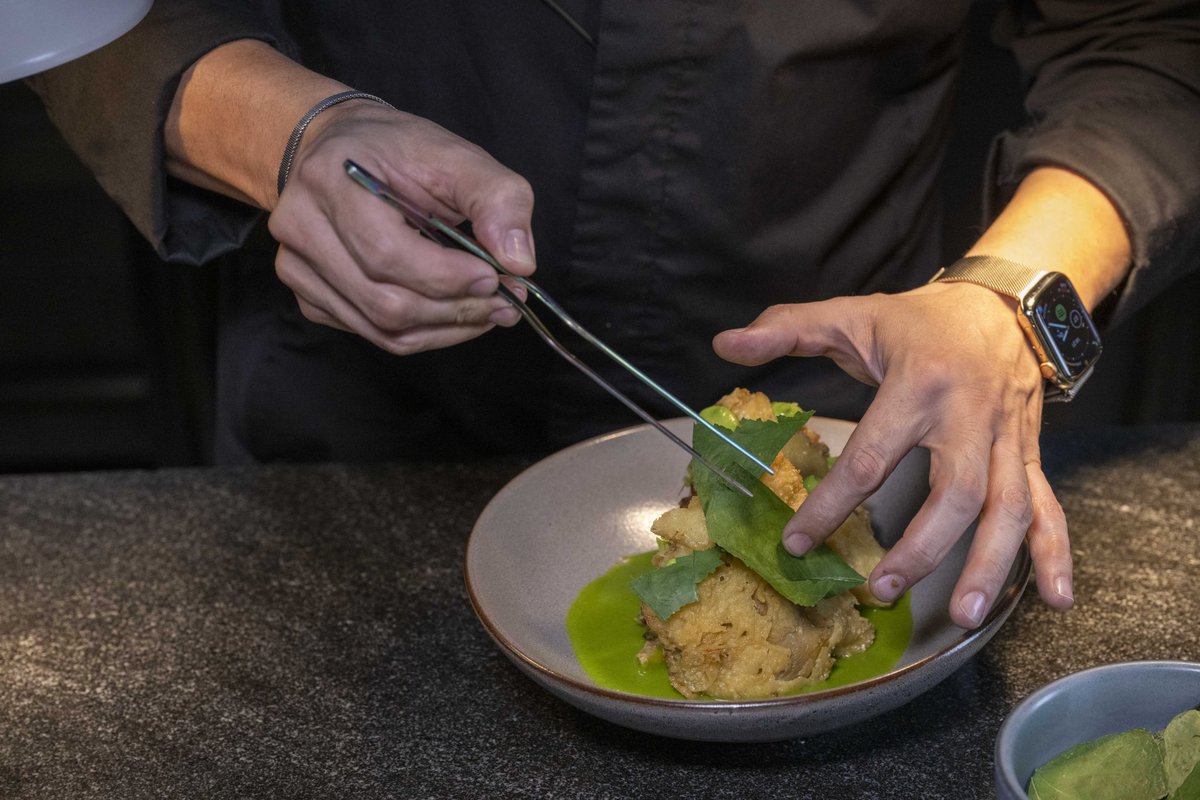 La sabiduría ancestral que hay en cada ingrediente se libera en nuestros sentidos y devuelve nuestra humanidad.

…Setas y Huauzontles Rebozados, Queso Oaxaca y Salsa de Poblano…

Av. 5 de Mayo 61, Centro Histórico de la CDMX.
Reservaciones: l⁠ink en Bio.

#BalcónDelZócalo