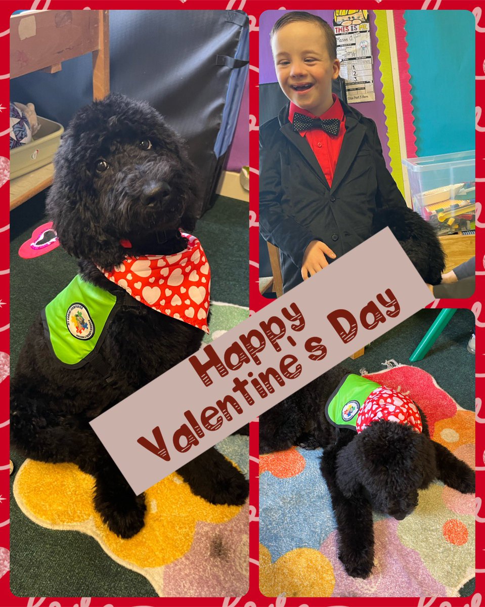 💖 Happy Valentine's Day to everyone in our amazing school community from Uni and everyone in CC! May your day be filled with love, joy, and appreciation. Let's spread kindness and compassion today and every day. #ValentinesDay #SpreadLove 💘@mycaninecompani