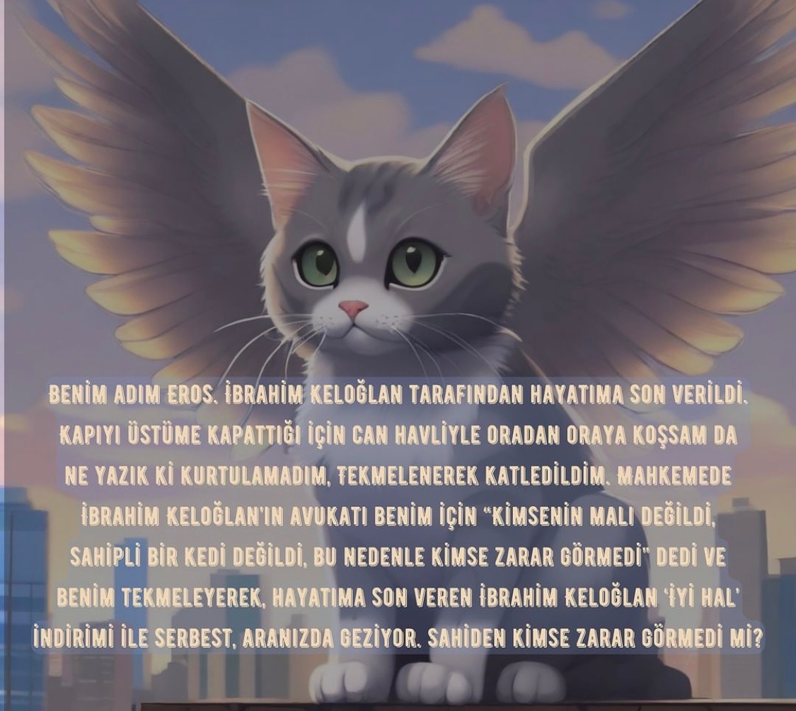 Katilin Adı: İbrahim Keloğlan
#ibrahimkeloğlantutuklansın