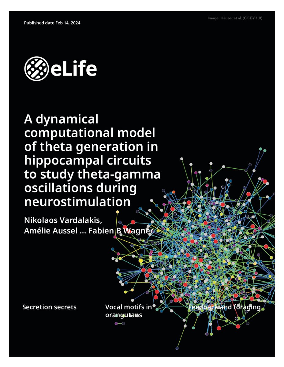 Thrilled to share our latest publication, "A Dynamical Computational Model of Theta Generation in Hippocampal Circuits to Study Theta-Gamma Oscillations during Neurostimulation," is now published in <a href="/eLife/">eLife - the journal</a>. Heartfelt thanks to my supervisors for their guidance!
#neuroscience