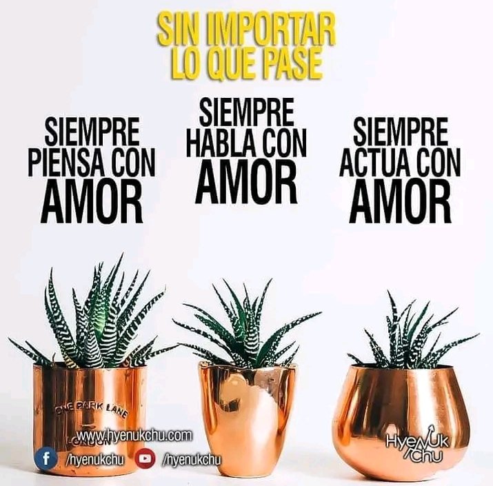 Feliz y Venturoso dia🎉 
El AMOR=Dulce FUERZA DE BUENA VOLUNTAD DE HACER LO CORRECTO, en cada ROL :
❣️MI MISMO
💜hijo del Creador
💙 HIjo de Nuestros Padres 
💚Hermanos y Familia
💞Pareja
💖Padres
💚Ciudadano 
💕 1⃣con🇻🇪 y 🌍
@ctivaos‼️🔥
Bendiciones🙏🔥🌻