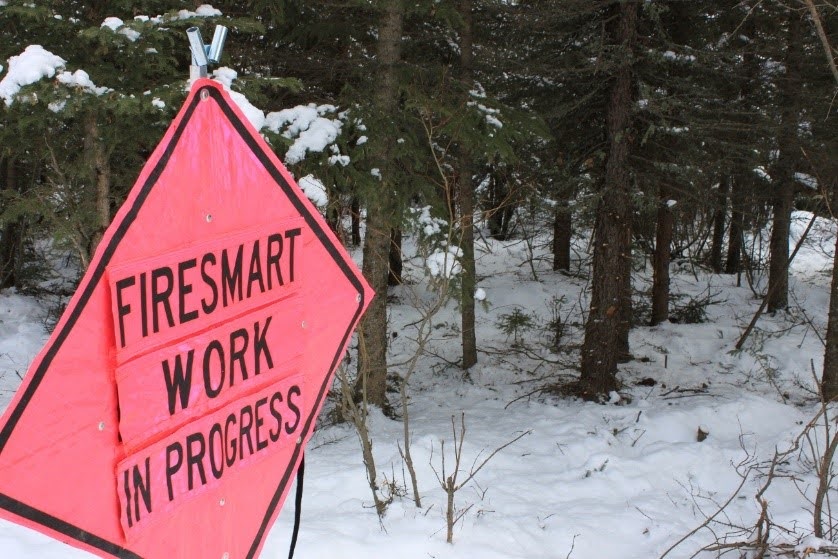 Alberta Wildfire tweet media