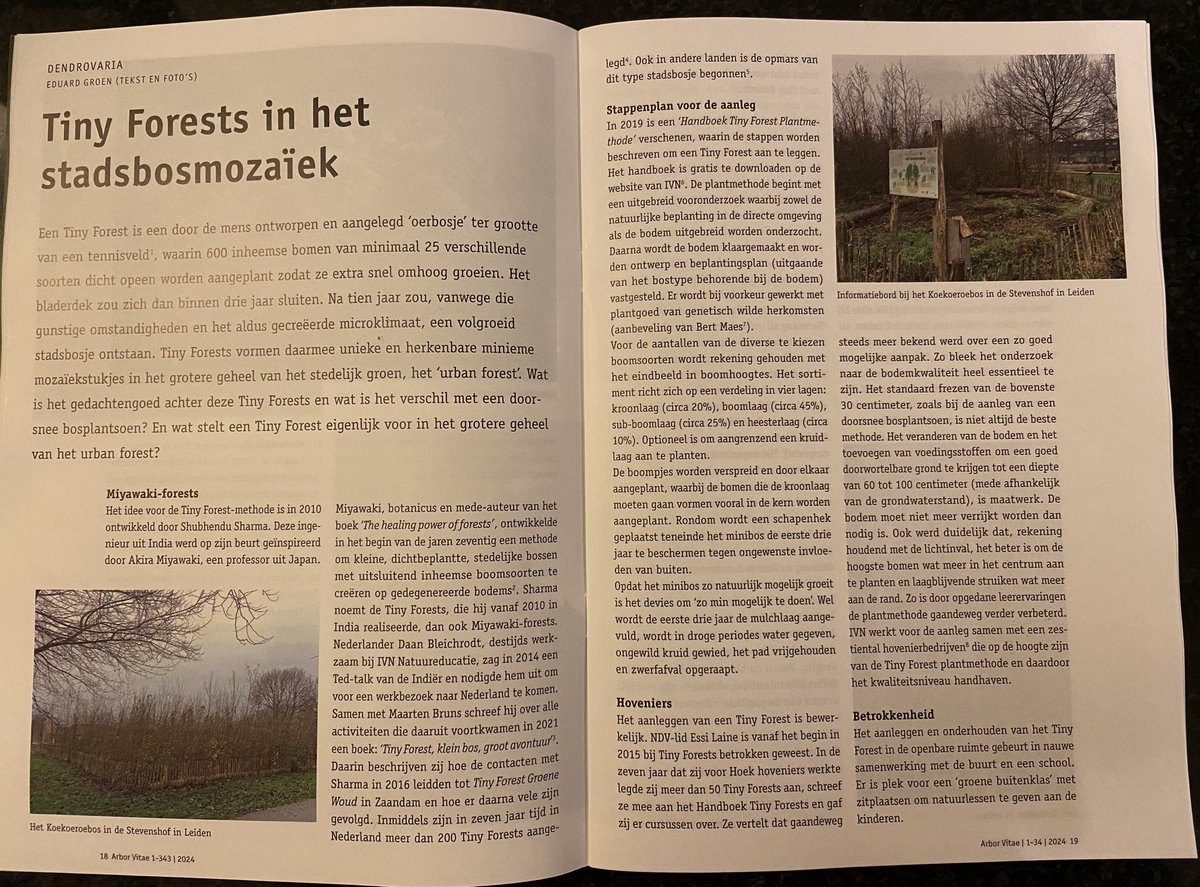 LatynNL's tweet photo. Altijd weer gaaf om je artikel in gedrukt vorm te zien. Deze keer over Tiny forests.
In Arbor vitae, het bulletin van de Nederlandse Dendrologische Vereniging en Koninklijke Vereniging van Boskoopse Culturen. Nummer 2024_1
#NDV #KVBC #IVN #TIny_Forests # Bomen #Miyawaki_forests https://t.co/qPpYB1K8l6