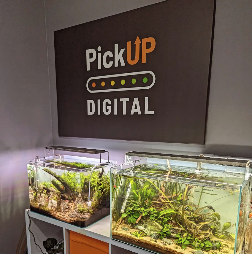 PickUP Digital Ltd tweet media