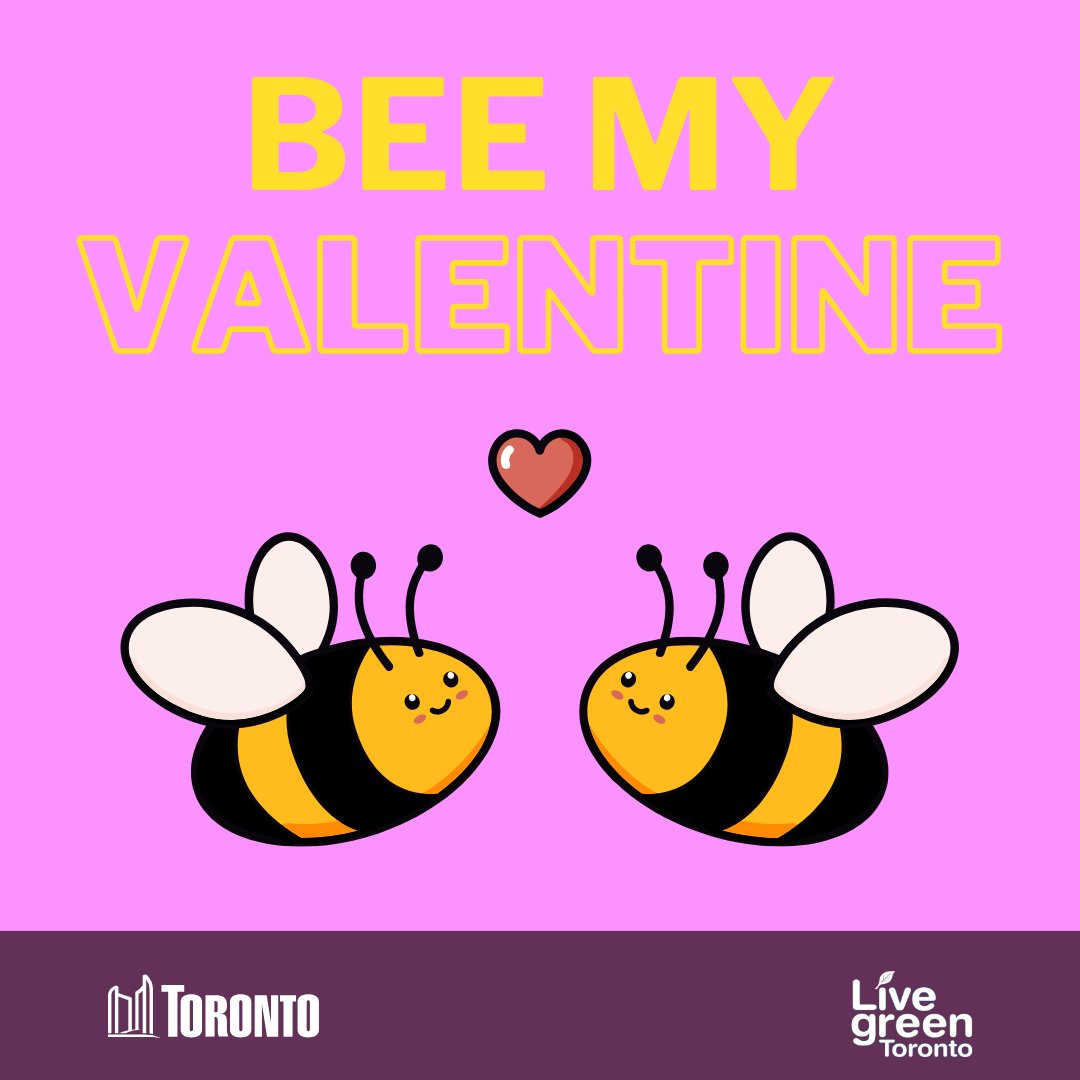 Let your honey pie know they are the bee's knees this Valentines Day. Instead of buying flowers, get some native seeds for your honey and the bees and let your love bloom year after year!❤️💚💙