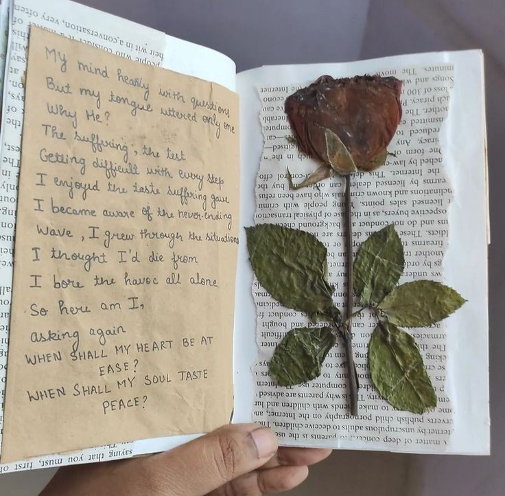 love letters &amp; pressed roses 🥀